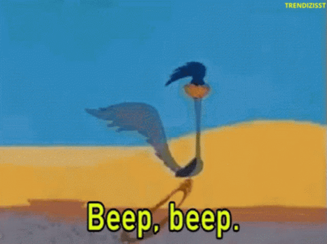 Beep Beep Road Runner Mink GIF