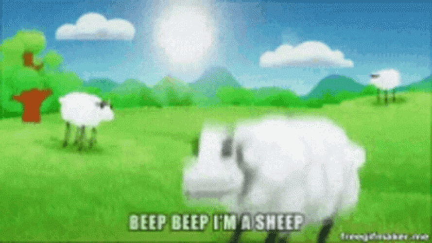 Beep Beep Sheep GIF