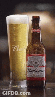 Beer Budweiser GIF