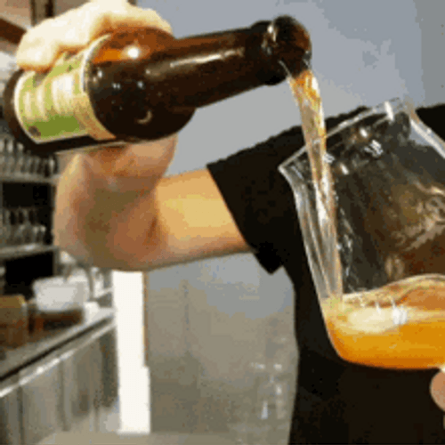 Beer Cheers Champagne Glass GIF