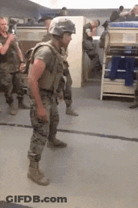 Beer Mug Beer 30 GIF