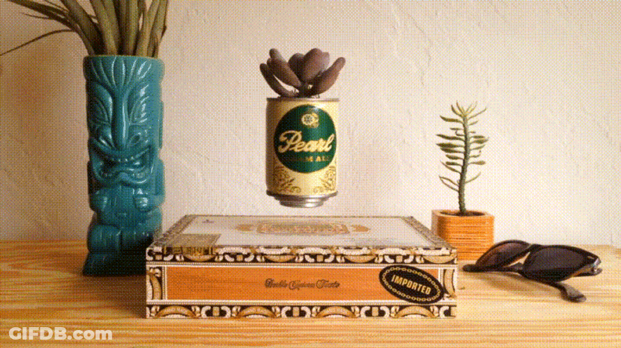 Beer Pearl Plant 360 Degree Turn GIF