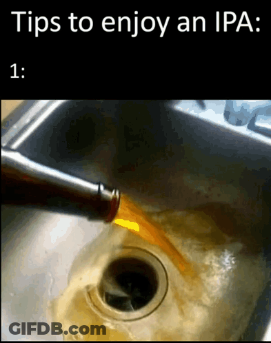 Beer Poured Into Kitchen Sink GIF