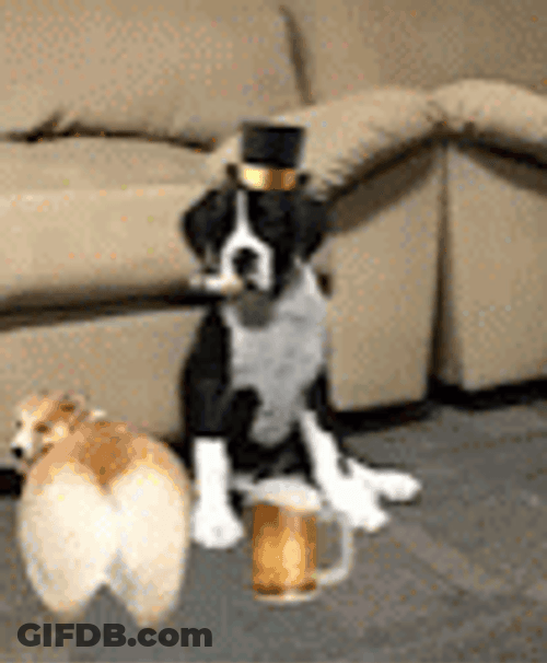 Beer Twerking Dog GIF