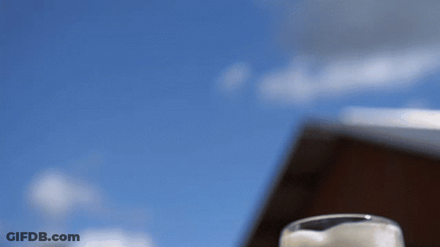 Beerfest Full Beer Mugs Cheers GIF