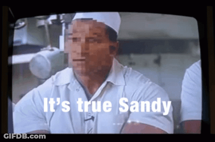Beerfest It's True Sandy GIF