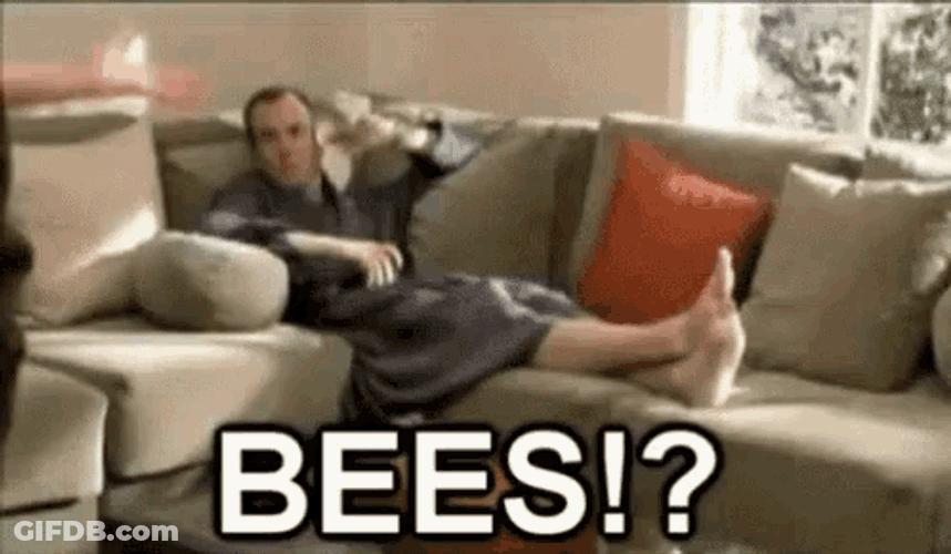 Bees Confused GIF
