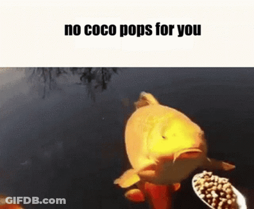 Bees Dancing In Honeycomb Hive GIF