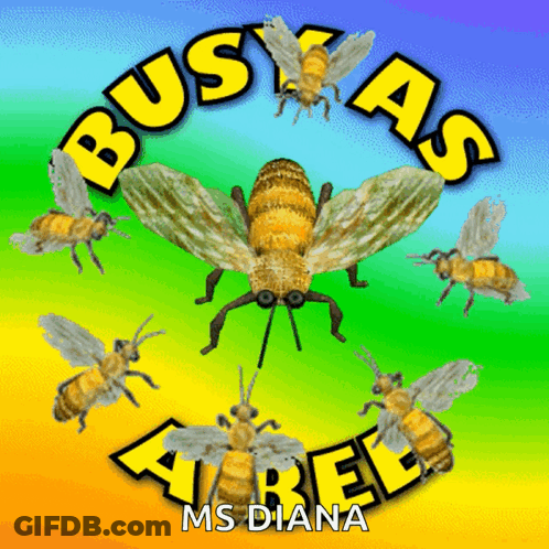 Bees On Colorful Background Saying Buskas GIF