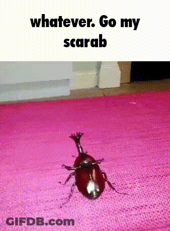 Beetle Crawling On Pink Rug GIF