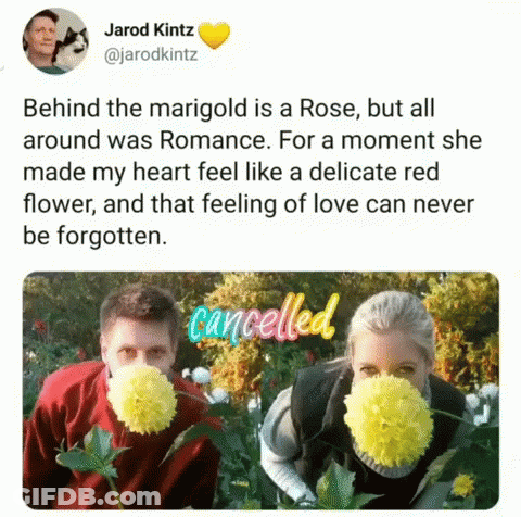 Behind The Marigold Is A Rose But All Around Was Romance .. GIF