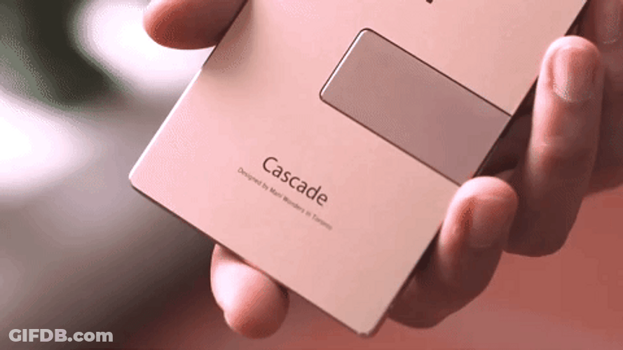 Beige Minimalist Cascade Wallet GIF
