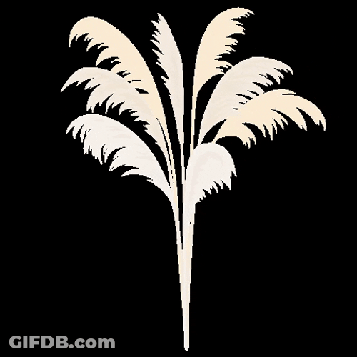 Beige Minimalist Pampas Grass Swaying GIF