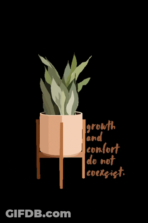 Beige Minimalist Plant Box Flickering Text GIF