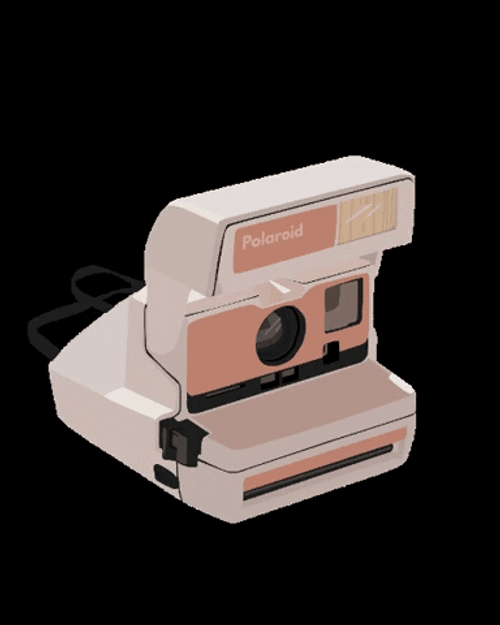 Beige Polaroid Camera GIF