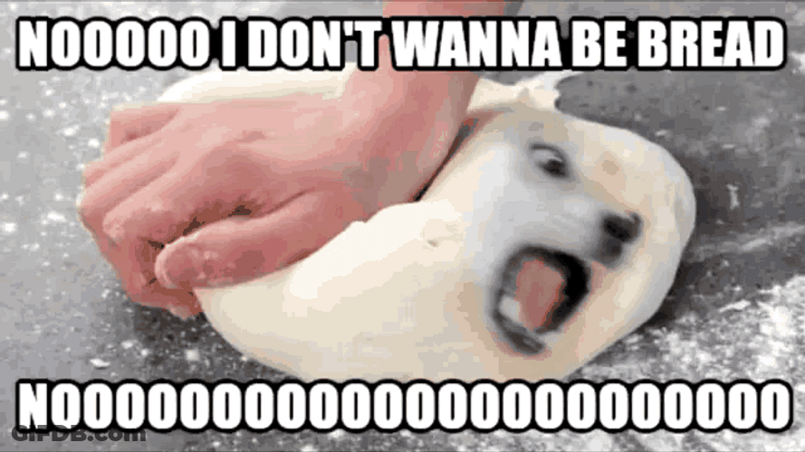 Being Bread Is Fine GIF