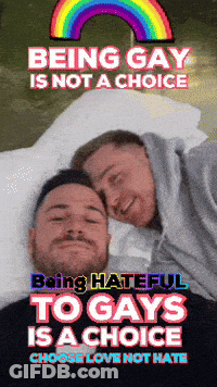 Being Gay Is Not A Choice Poster GIF