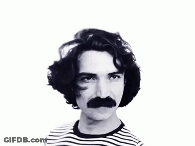 Belchior Walrus Mustache Mobile Image GIF
