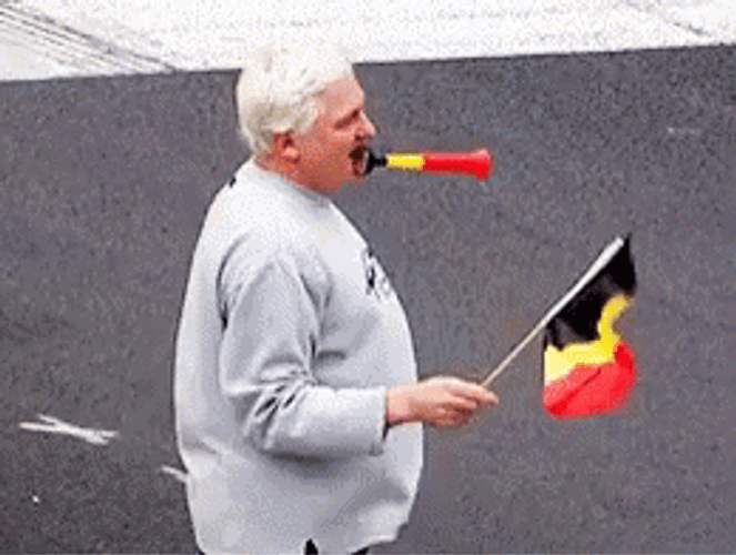Belgium Fan World Cup GIF