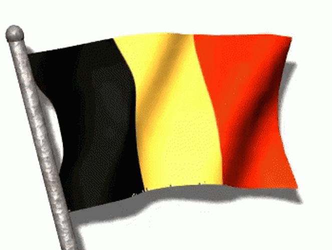 Belgium Flag Pole GIF