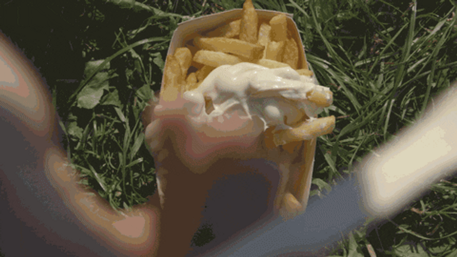 Belgium Fries Festival GIF