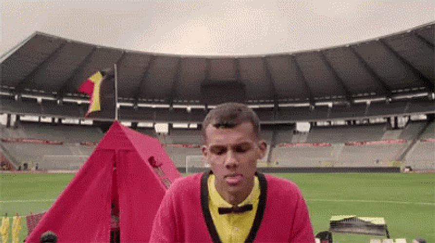 Belgium Stromae Music GIF