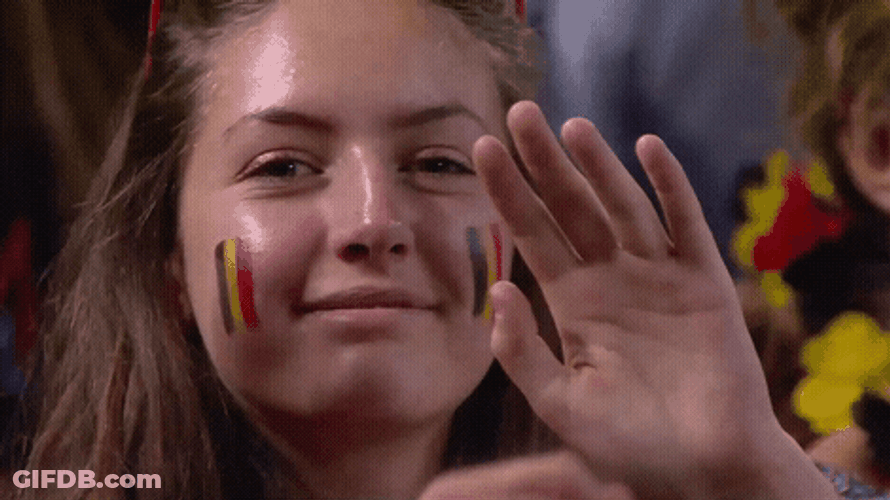 Belgium Volleyball Wave GIF