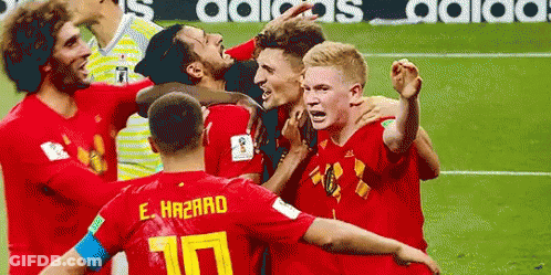 Belgium World Cup GIF