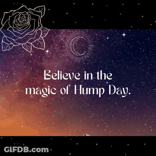 Believe In The Magic Of Hump Day Poster With Rose And Crescent Moon GIF