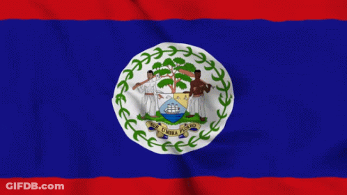 Belize Flag Gif GIF