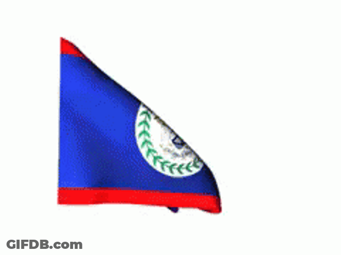 Belize Flag Waving Rapidly GIF