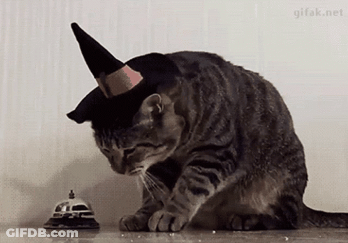 Bell Ringing Cat GIF