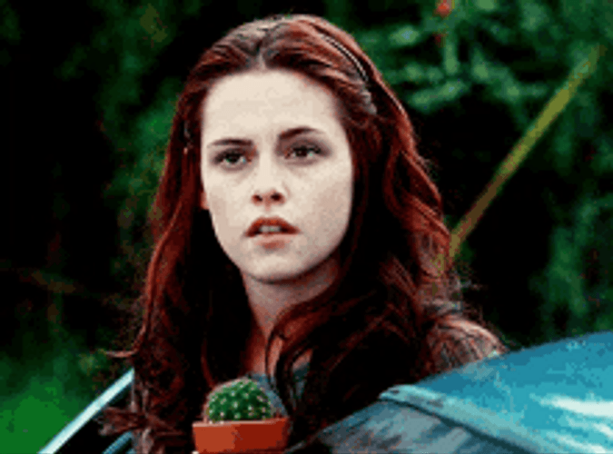 Bella Swan Cactus Uhm Yes Okay GIF