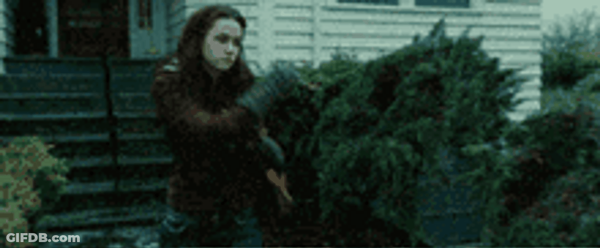 Bella Swan Slips On Ice Oops GIF