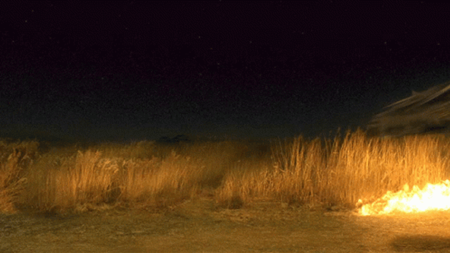 Bellatrix Lestrange Burning Burrow GIF