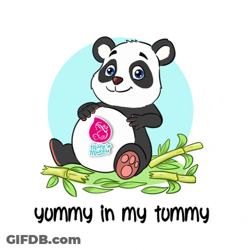 Belly Inflation Food Hungry Panda GIF