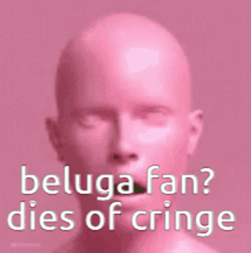 Beluga Cat Dies Cringe GIF