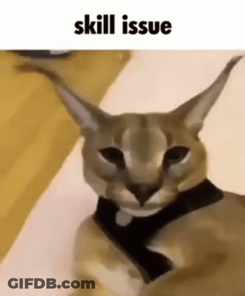 Beluga Cat Skill Issue GIF