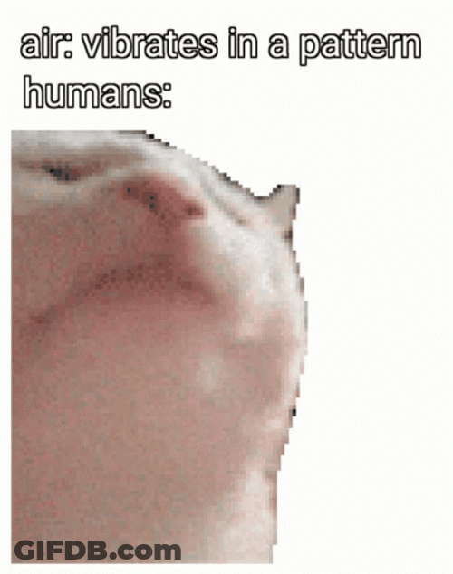 Beluga Cat Vibrate In A Pattern GIF