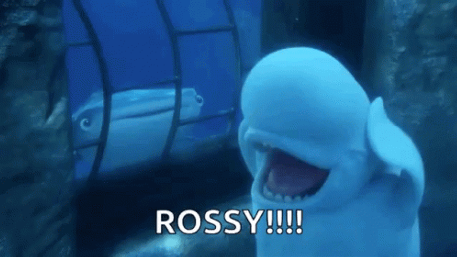 Beluga Screaming For Help In His Home GIF