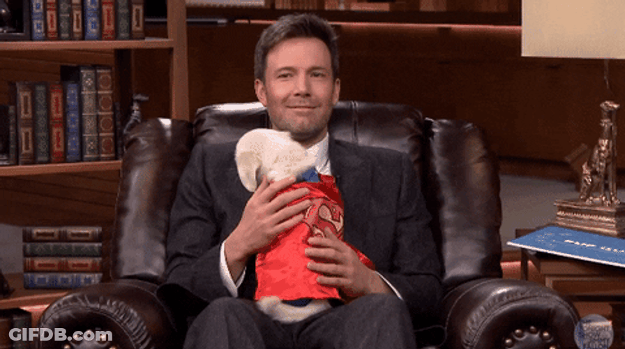 Ben Affleck Superman Dog GIF