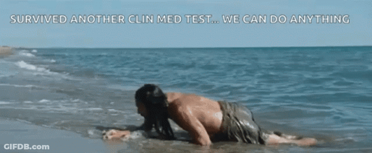 Ben Hur Survived Crawling The Beach GIF