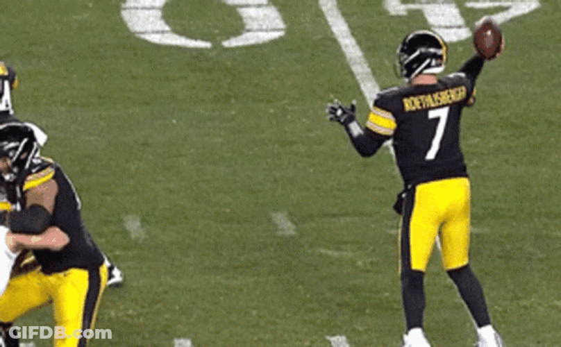 Ben Roethlisberger Perfect Catch GIF