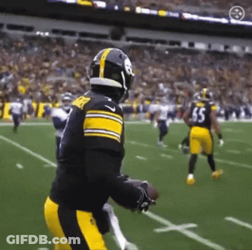 Ben Roethlisberger Waving Hands GIF