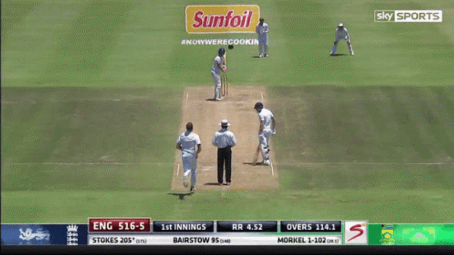Ben Stokes People Ball GIF