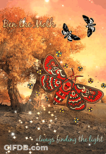 Ben The Moth Always Finding The Light GIF