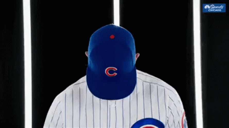 Ben Zobrist  Chicago Cubs GIF