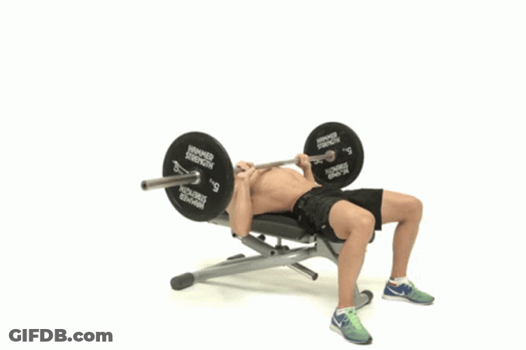 Bench Press Trying Hard GIF