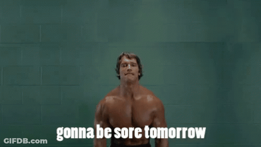 Bench Press Using Cats GIF
