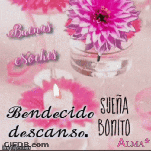 Bendecida Noche GIF